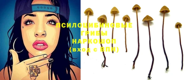 ешки Верея