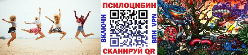 где продают   Северобайкальск  Псилоцибиновые грибы Psilocybine cubensis 